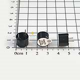 Còi chíp 12V TMB12A12 12x9.5mm