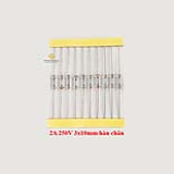 Cầu chì thủy tinh 2A 250V 3x10mm hàn chân đóng dây (10 chiếc)
