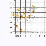 Tụ sứ vàng 475 4.7uF 50V (10c)