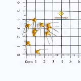Tụ sứ vàng 333 33nF 50V (10c)