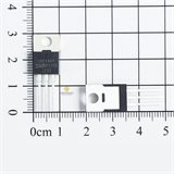 IRF1404 N-Mosfet 202A 40V TO-220 chính hãng IR